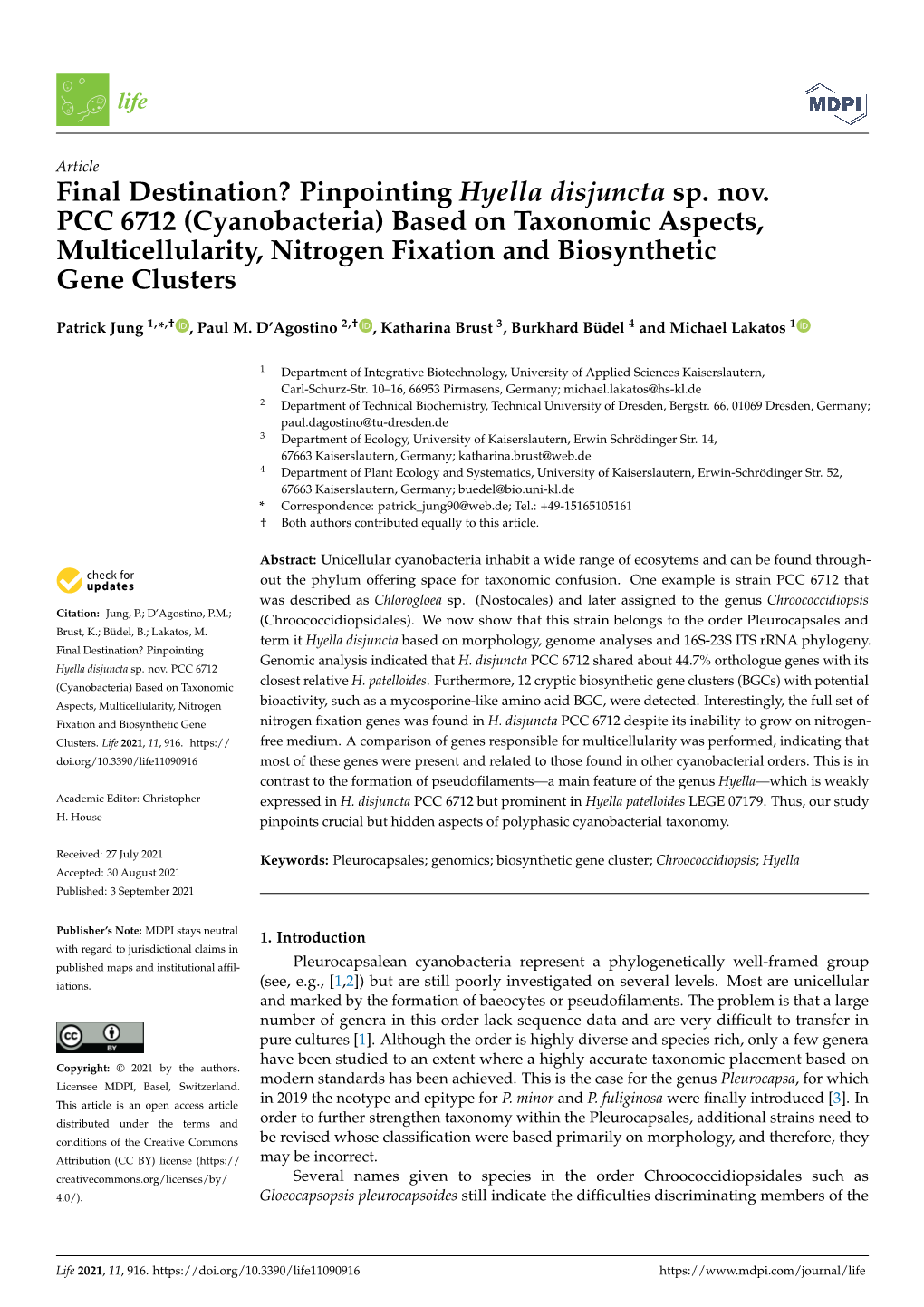 Pinpointing Hyella Disjuncta Sp. Nov. PCC 6712 (Cyanobacteria) Based on Taxonomic Aspects, Multicellularity, Nitrogen Fixation and Biosynthetic Gene Clusters