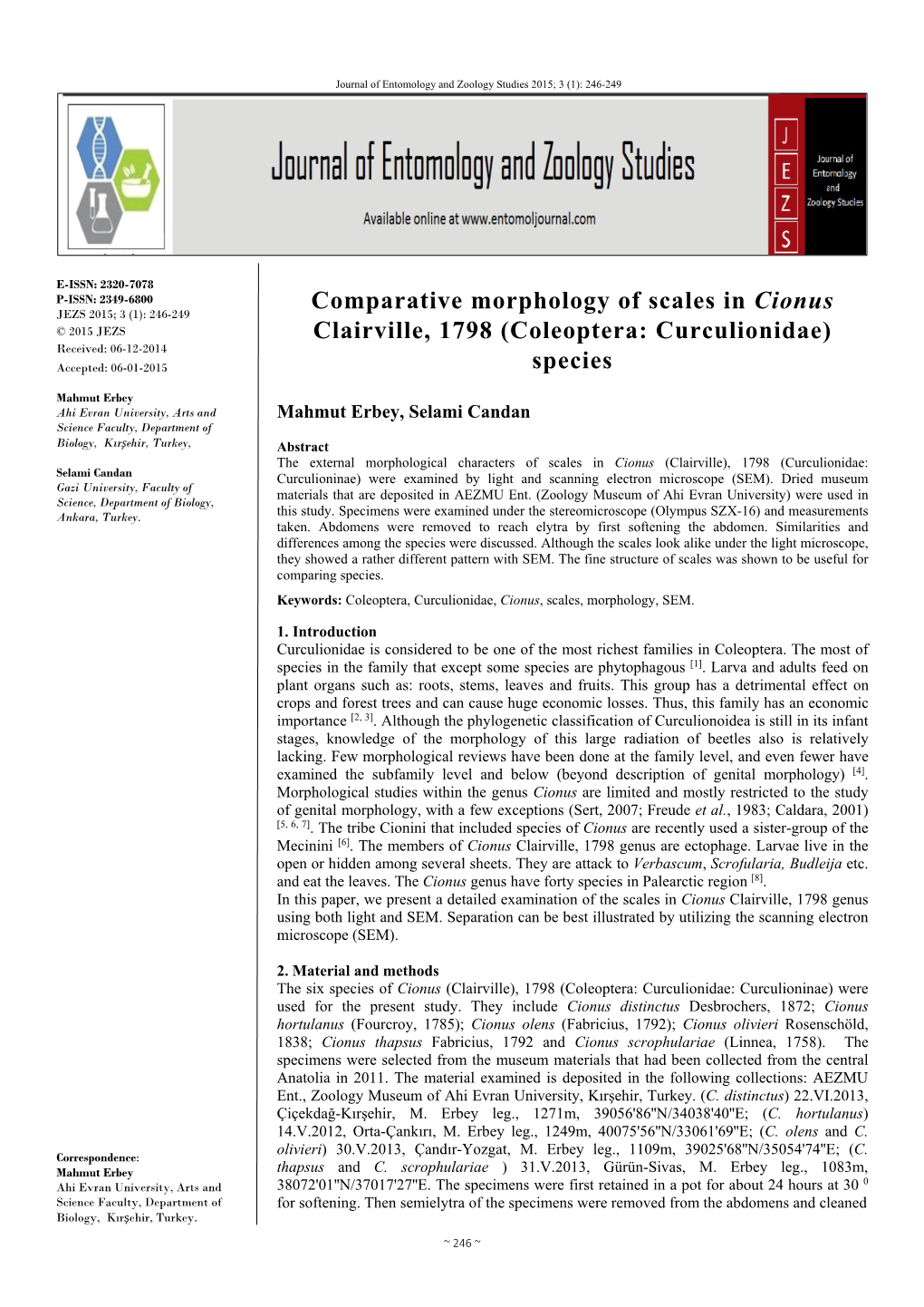 Comparative Morphology of Scales in Cionus Clairville, 1798 (Coleoptera