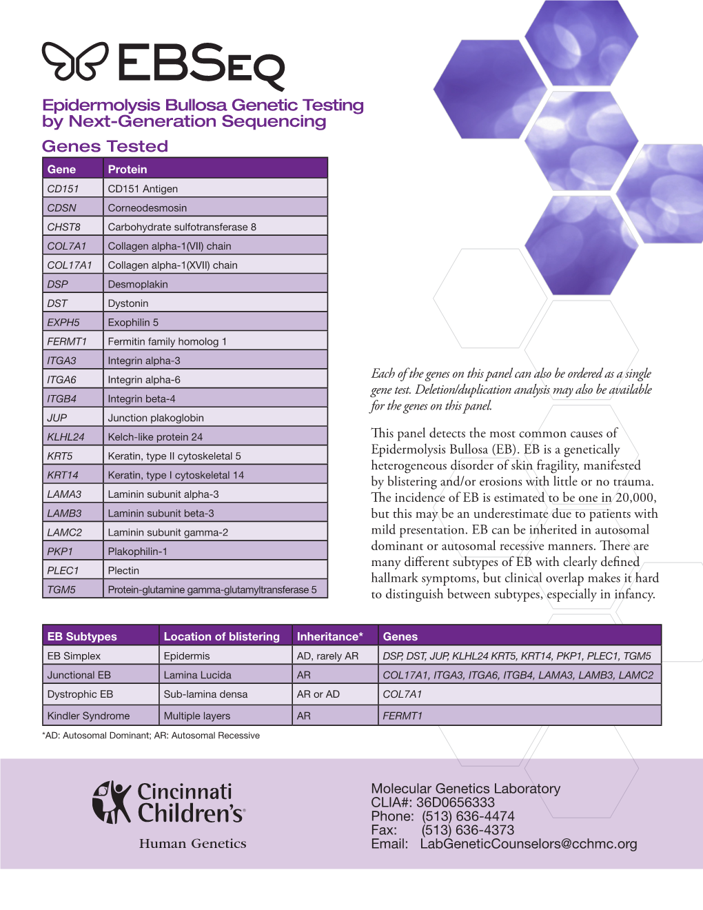 Ebseq Epidermolysis Bullosa Genetic Testing by Next-Generation