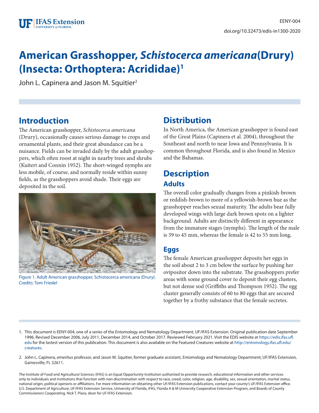 American Grasshopper, Schistocerca Americana(Drury) (Insecta: Orthoptera: Acrididae)1 John L