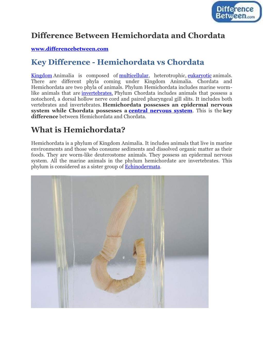 Difference Between Hemichordata and Chordata Key Difference