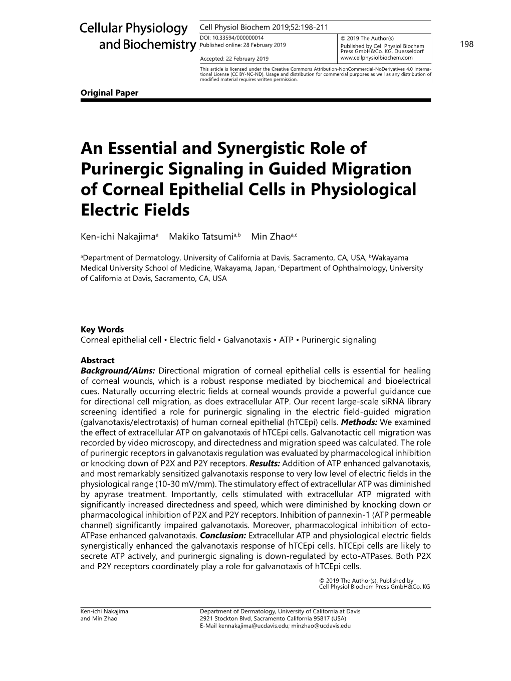 An Essential and Synergistic Role of Purinergic Signaling in Guided Migration of Corneal Epithelial Cells in Physiological Electric Fields