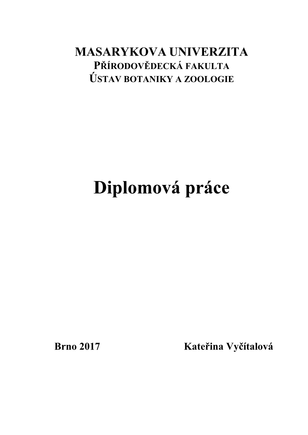 Diplomová Práce