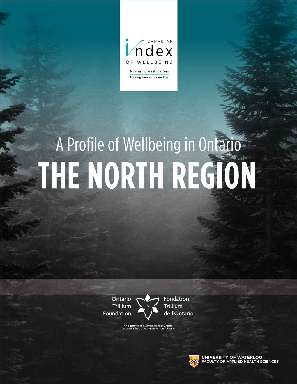 A Profile of Wellbeing in Ontario: the North Region (PDF)