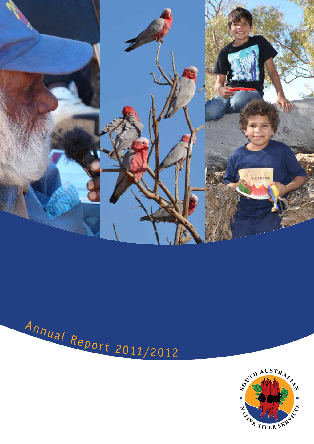 SANTS Annual Report 2012