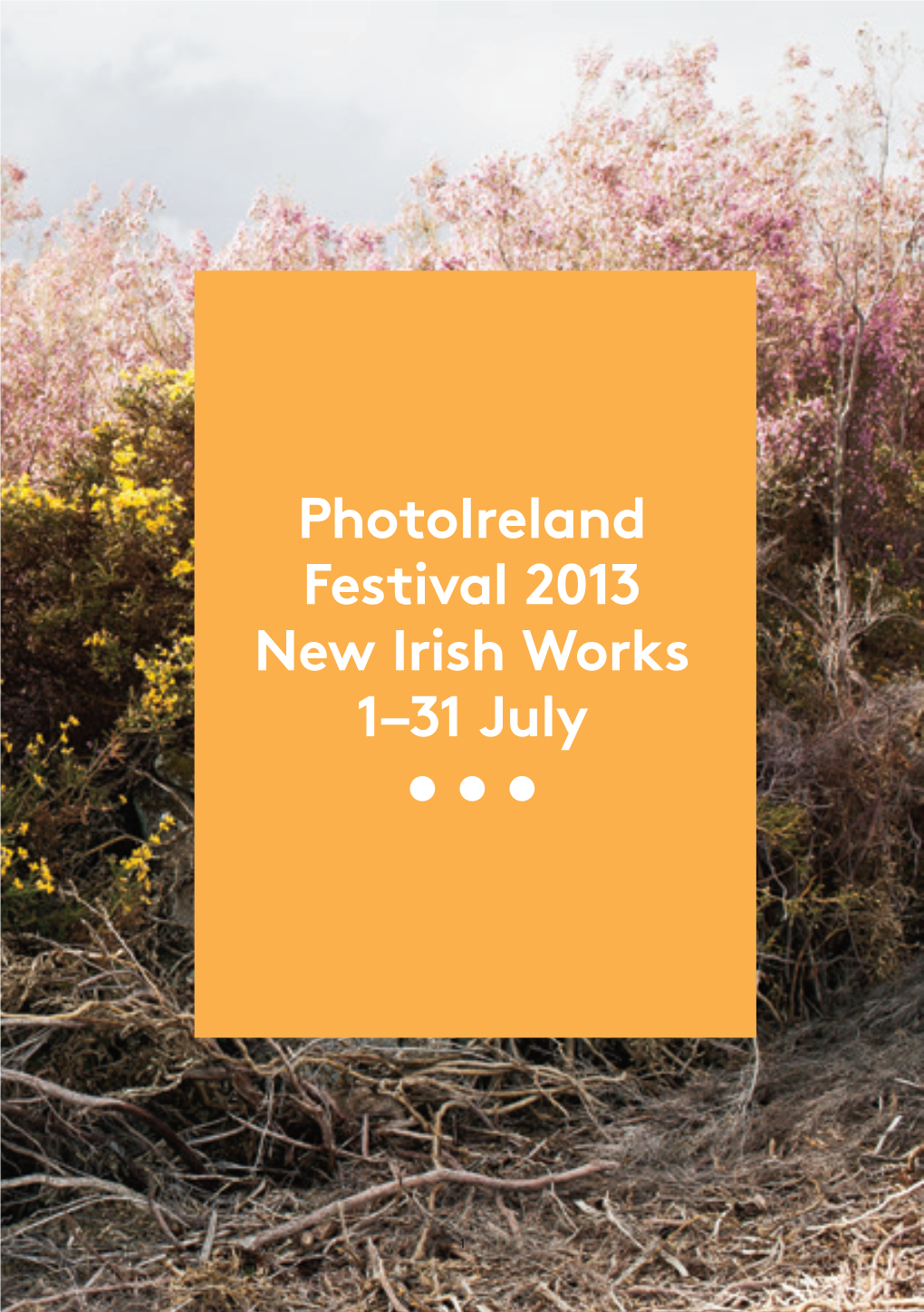 Photoireland Festival 2013 Catalogue