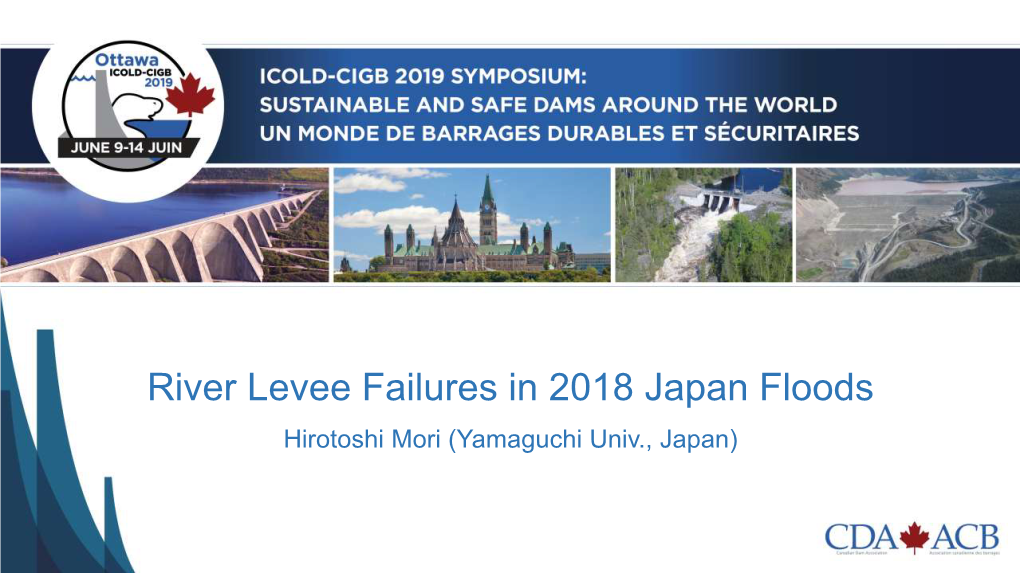 River Levee Failures in 2018 Japan Floods