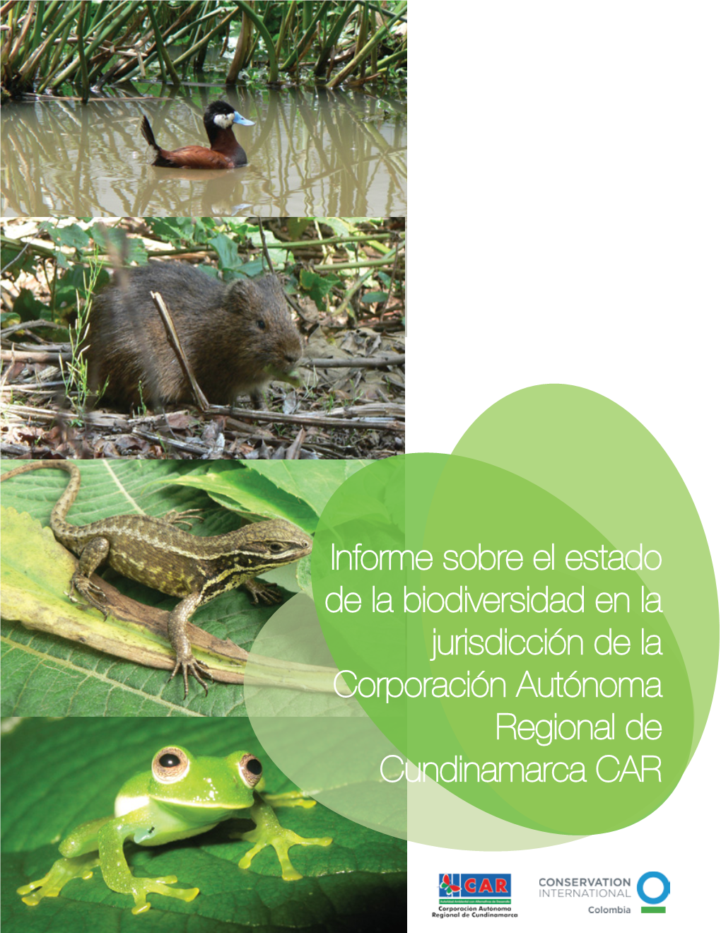 Estado Biodiversidad Jurisdiccción