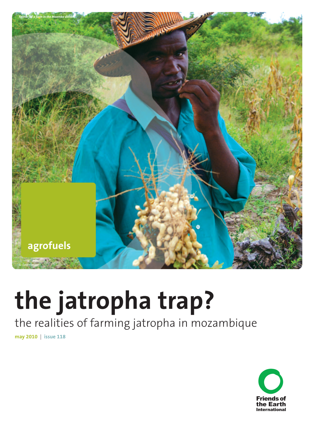 The Realities of Farming Jatropha in Mozambique