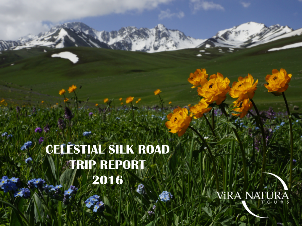 Celestial Silk Road Trip Report 2016