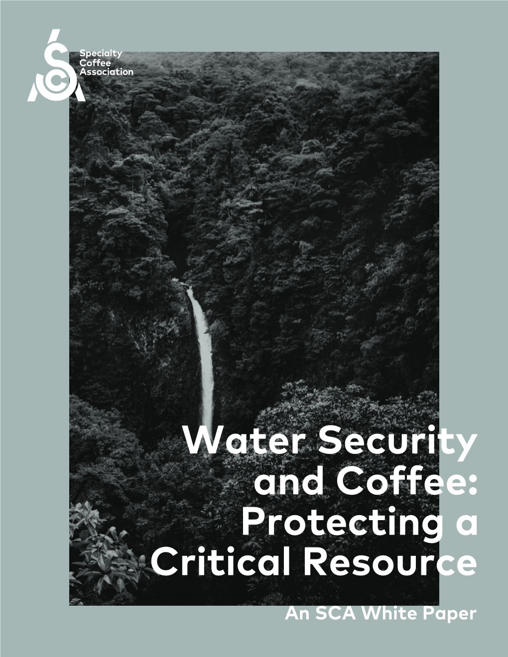 Water Security and Coffee: Protecting a Critical Resource