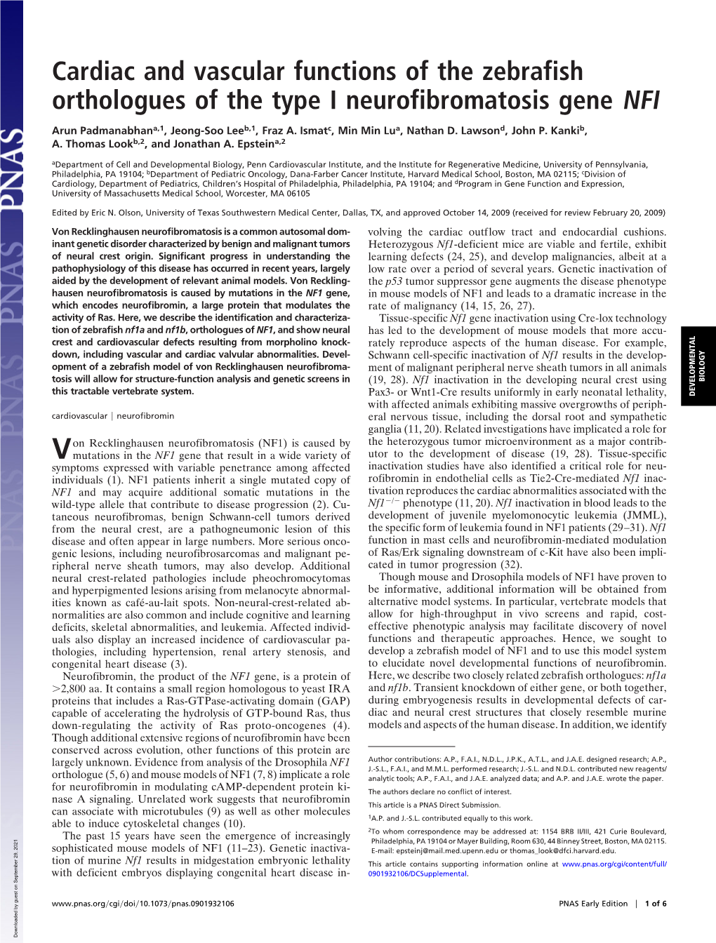 Cardiac and Vascular Functions of the Zebrafish Orthologues of the Type I Neurofibromatosis Gene NFI