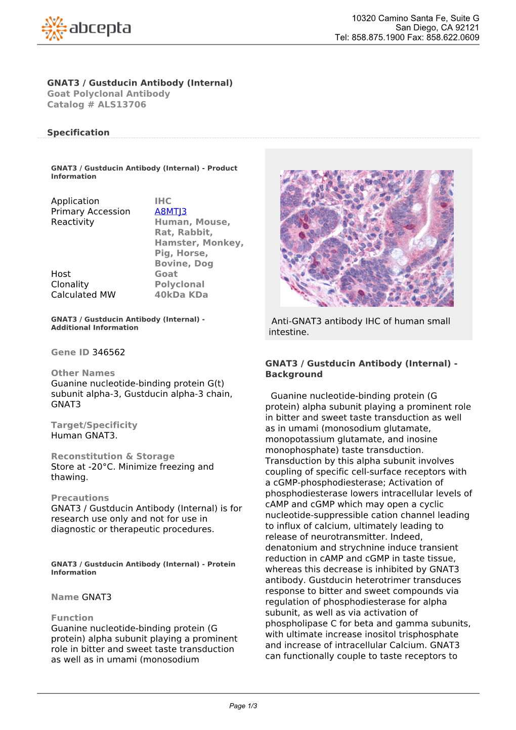 GNAT3 / Gustducin Antibody (Internal) Goat Polyclonal Antibody Catalog # ALS13706