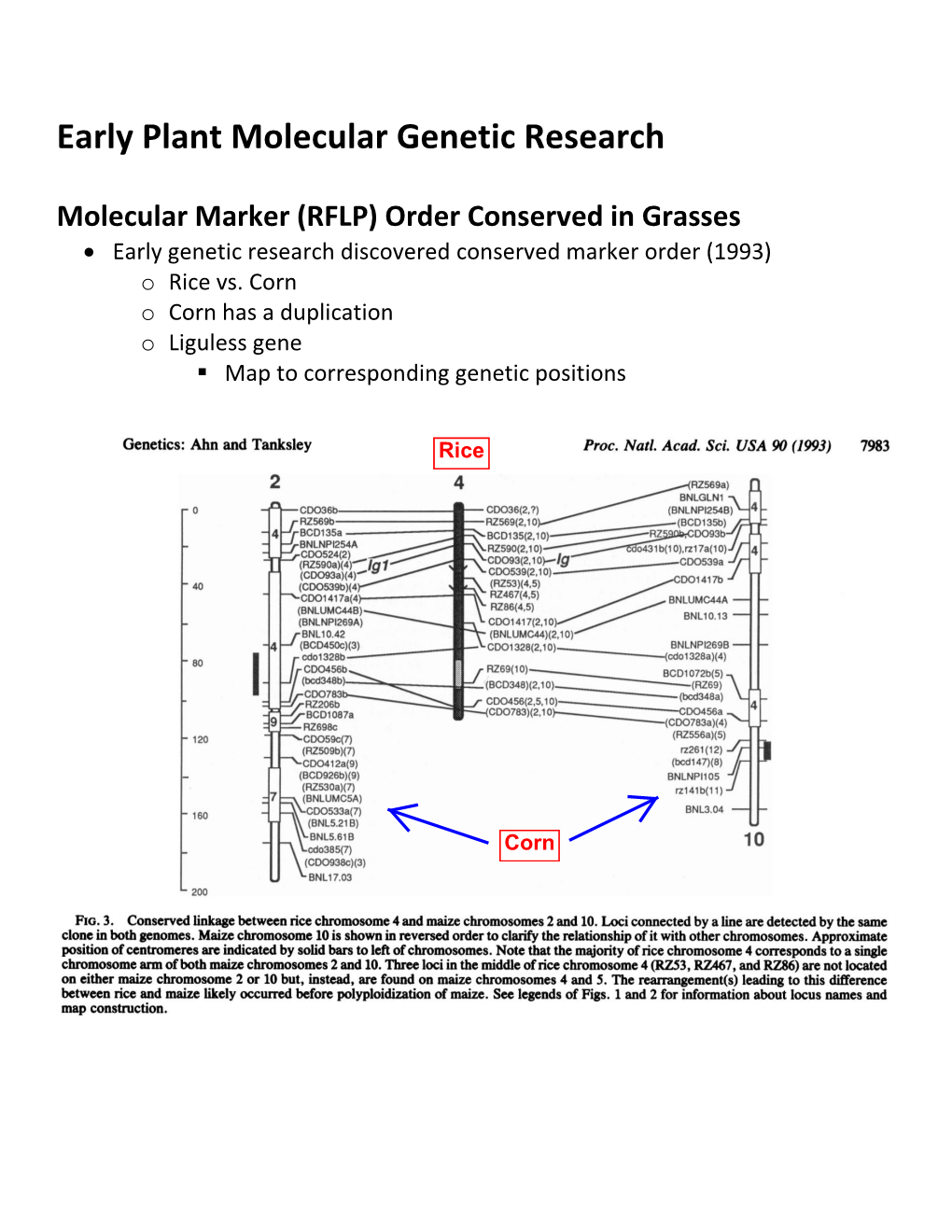 Early Plant Molecular Genetic Research