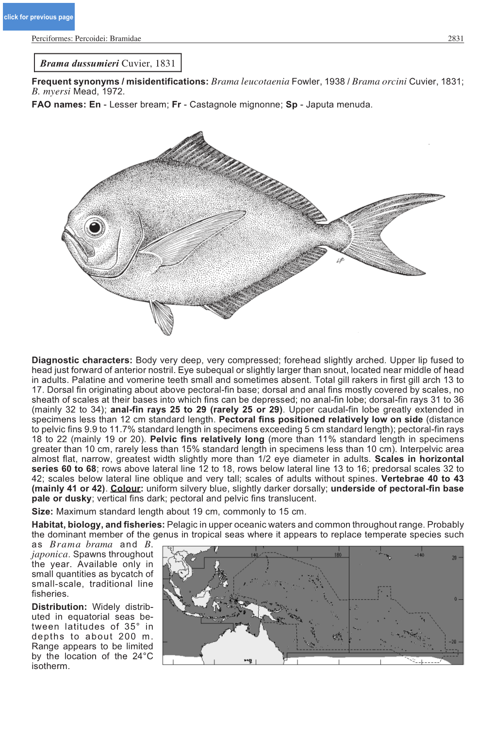 Brama Dussumieri Cuvier, 1831 As Brama Brama and B