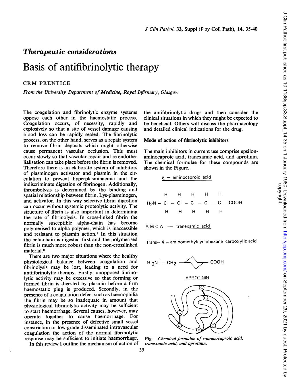 Basis of Antifibrinolytic Therapy