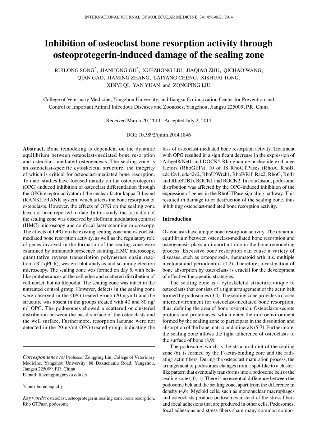 Inhibition of Osteoclast Bone Resorption Activity Through Osteoprotegerin-Induced Damage of the Sealing Zone