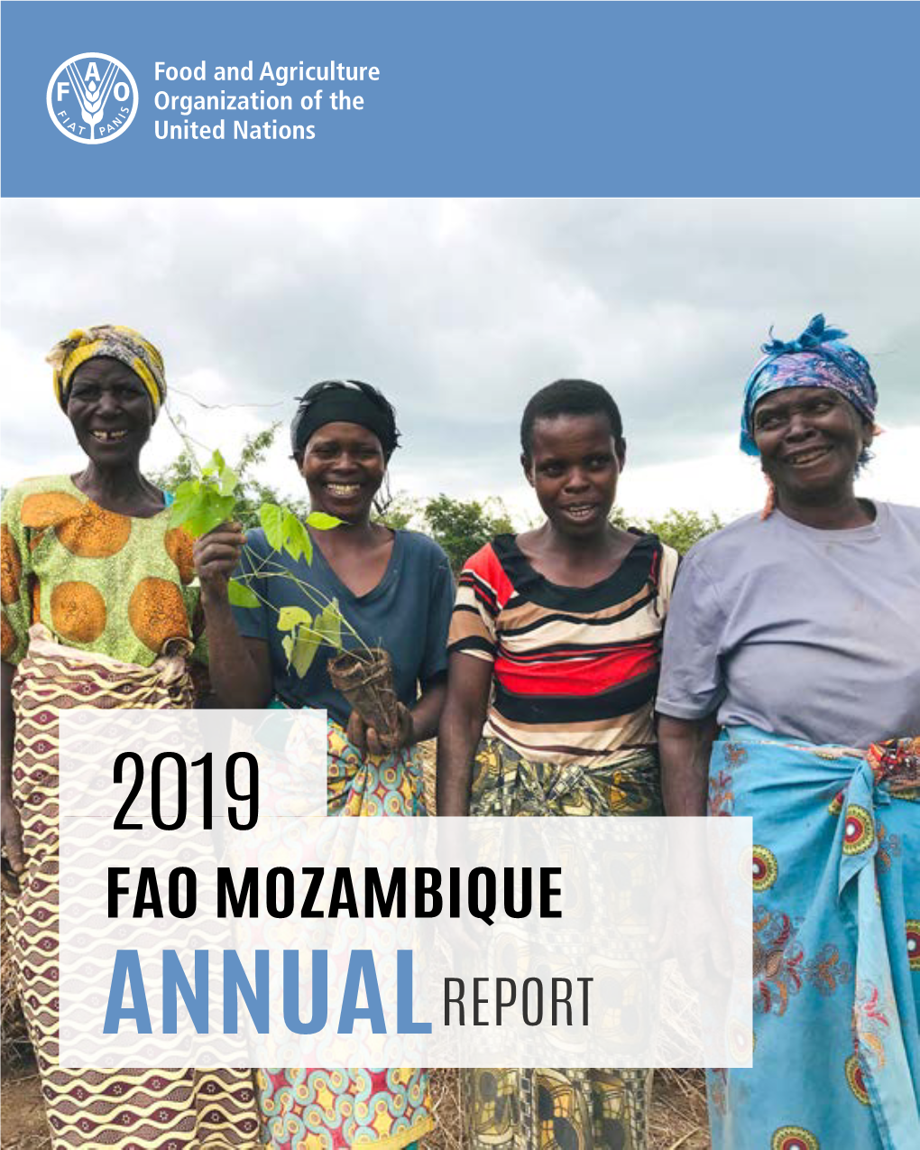 2019 Fao Mozambique Annualreport 2 2019 Fao Mozambique Annualreport