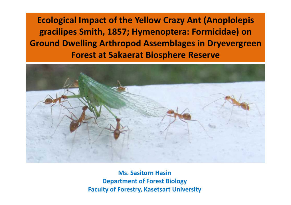 Ecological Impact of the Yellow Crazy Ant (Anoplolepis Gracilipes Smith