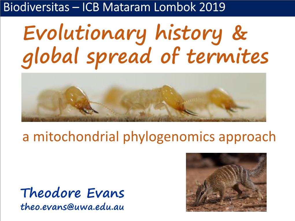 Evolutionary History & Global Spread of Termites