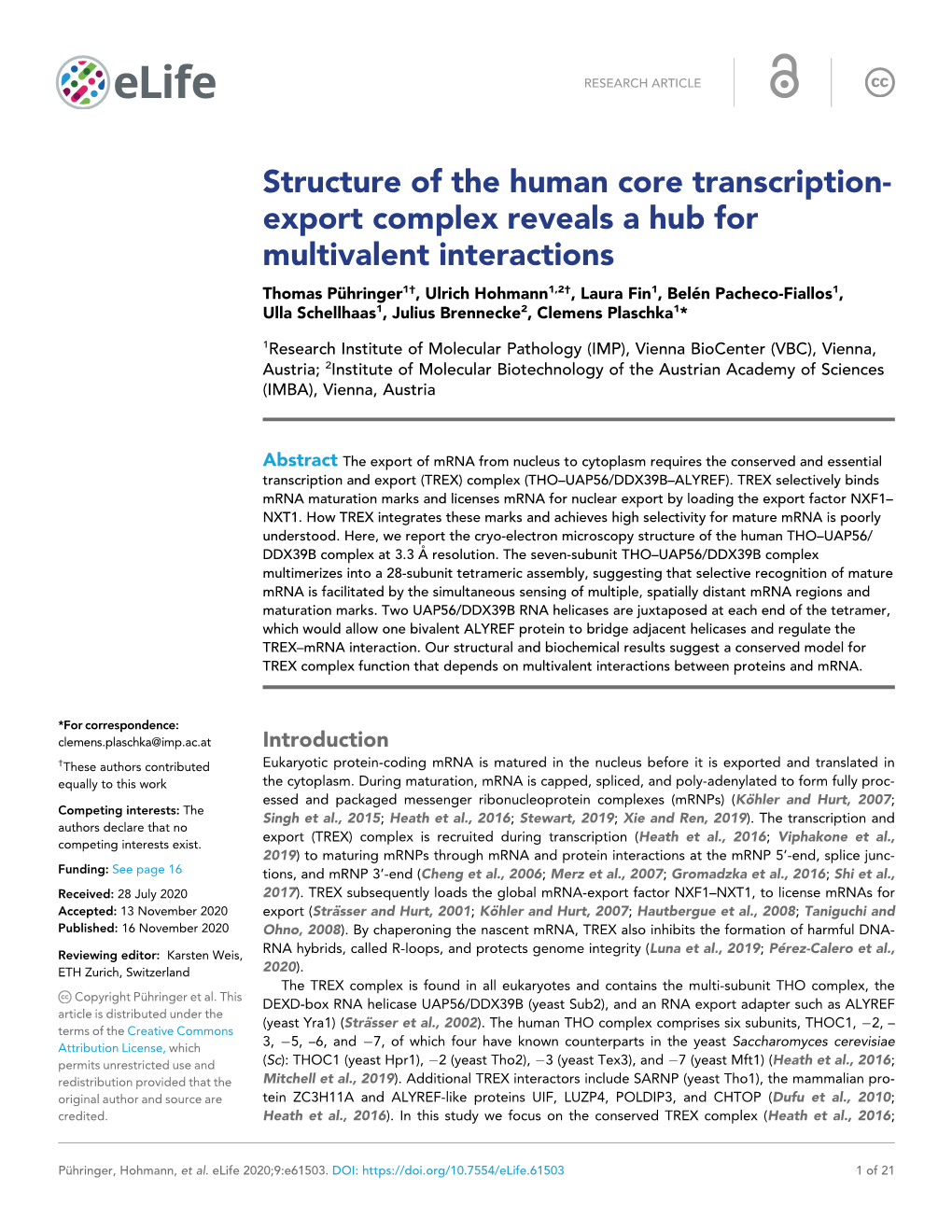 Export Complex Reveals a Hub for Multivalent Interactions