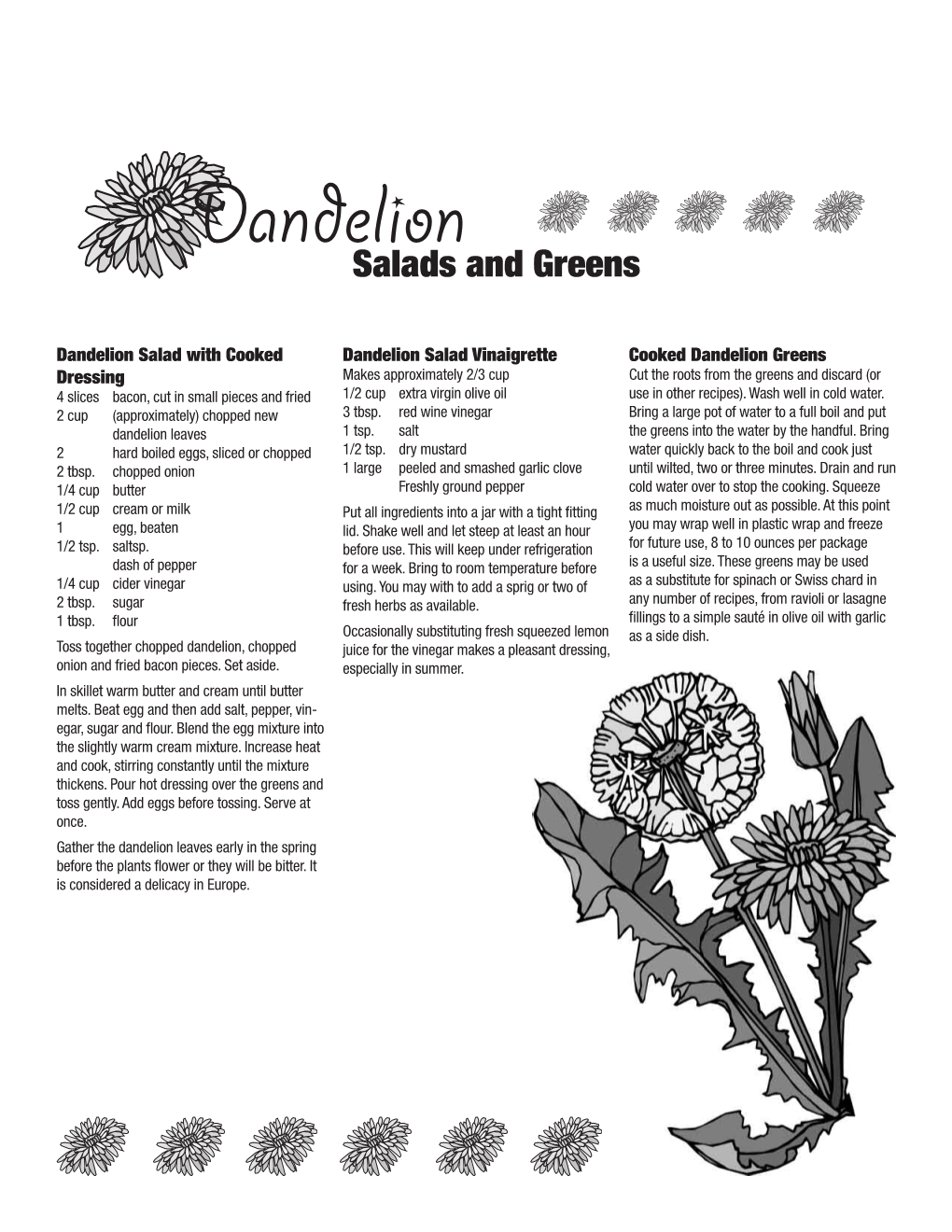 Dandelion Recipes