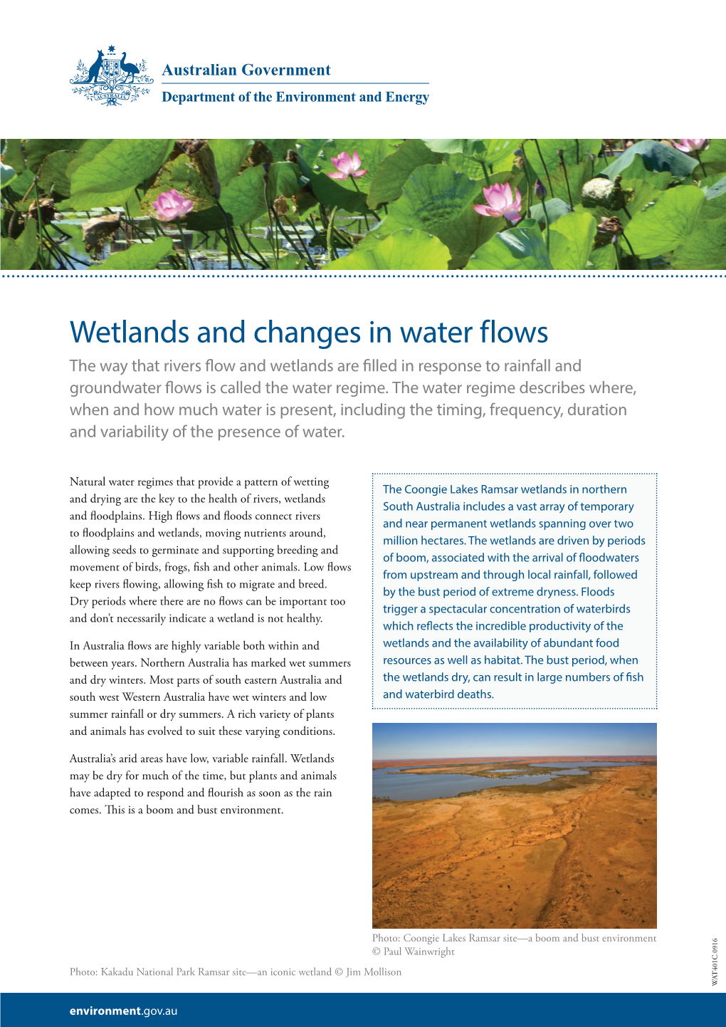 Wetlands and Changes in Water Flows the Way That Rivers Flow and Wetlands Are Filled in Response to Rainfall and Groundwater Flows Is Called the Water Regime