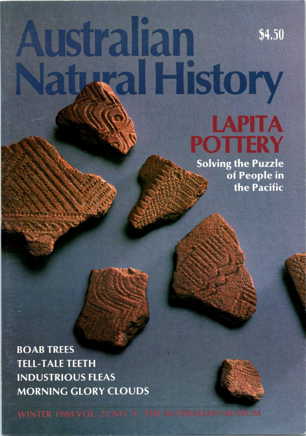 ·Iapita Pottery