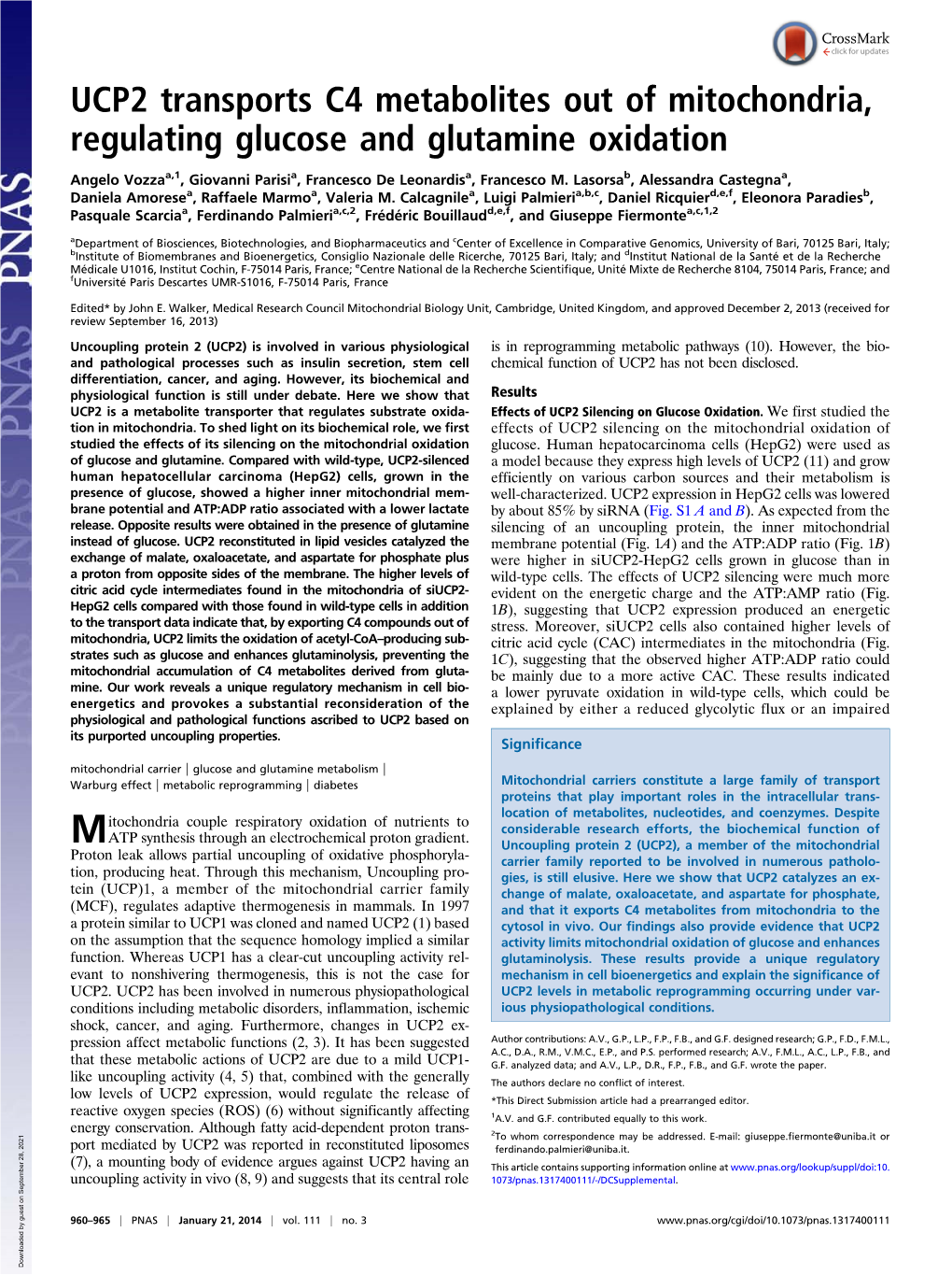 UCP2 Transports C4 Metabolites out of Mitochondria, Regulating Glucose and Glutamine Oxidation