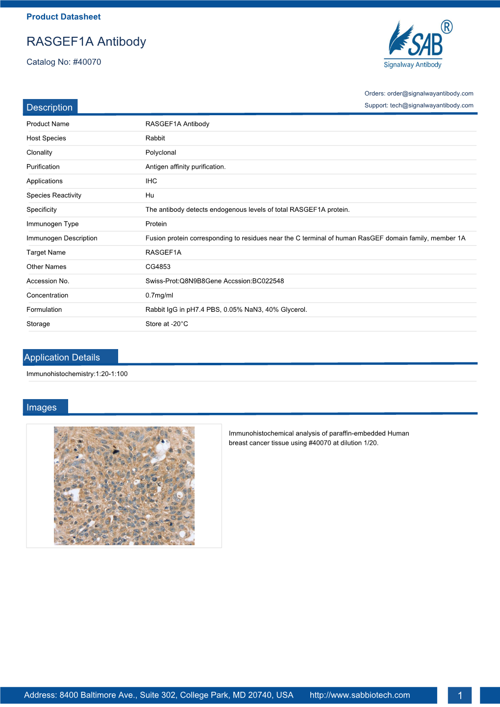 RASGEF1A Antibody