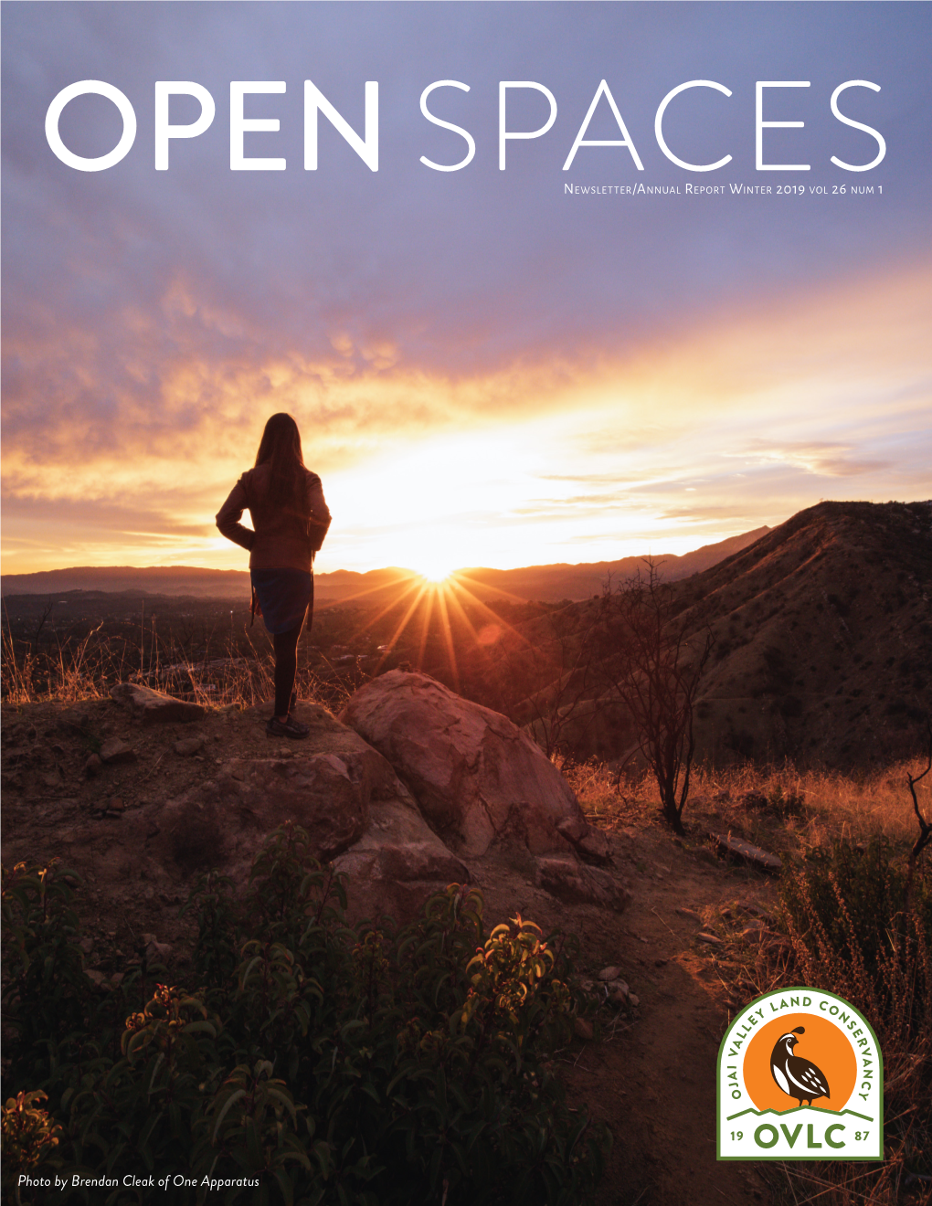 Open Spaces 2019 Winter Newsletter (PDF)