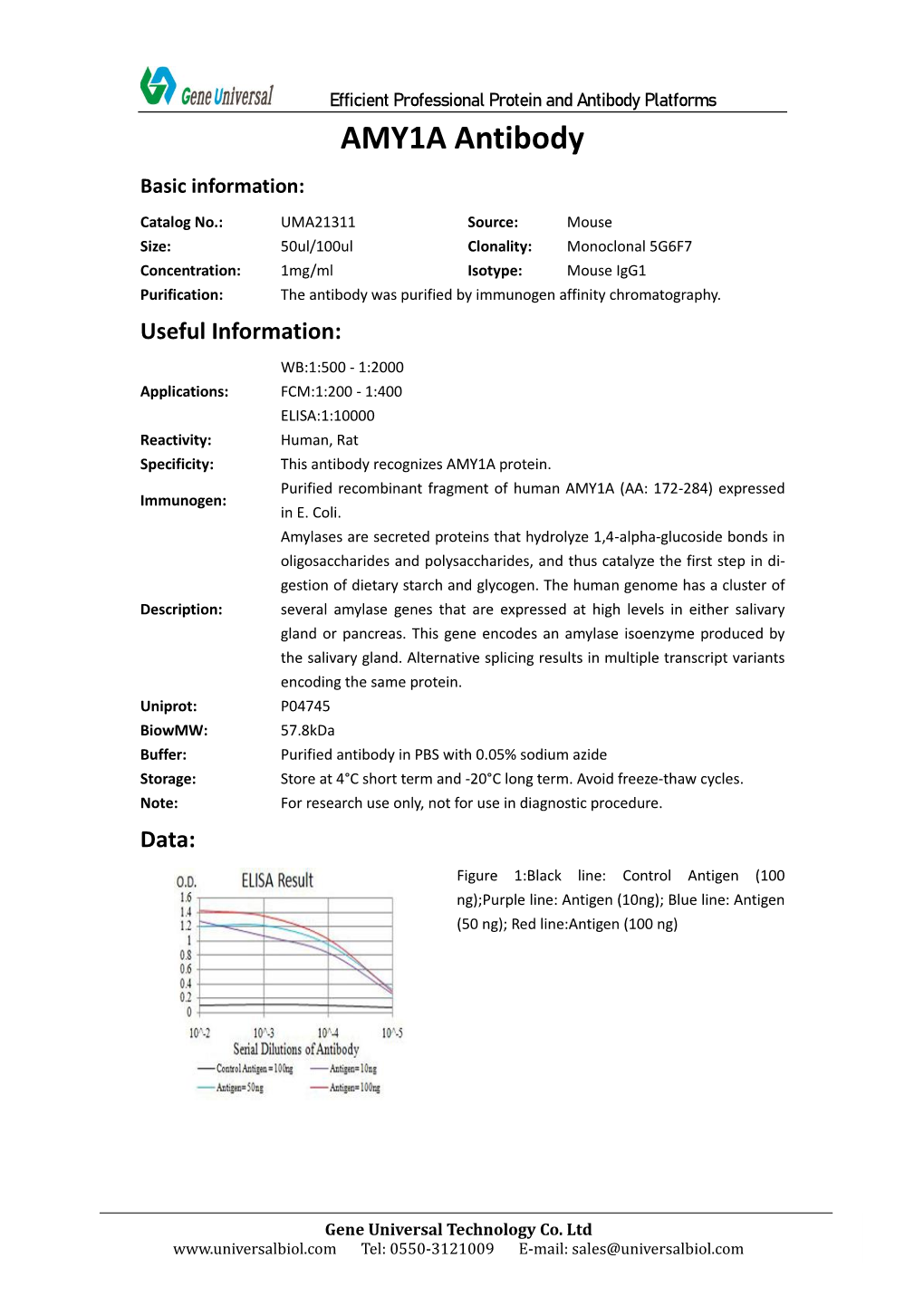 AMY1A Antibody