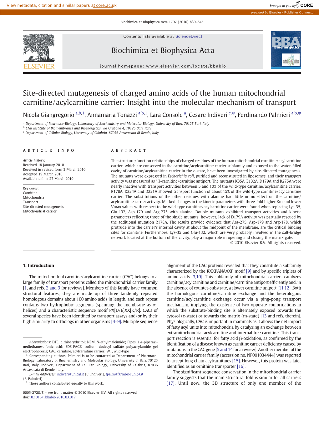 Insight Into the Molecular Mechanism of Transport