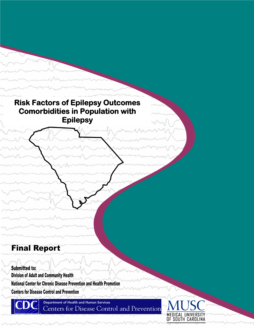 Risk Factors of Epilepsy Outcomes Comorbidities in Population With