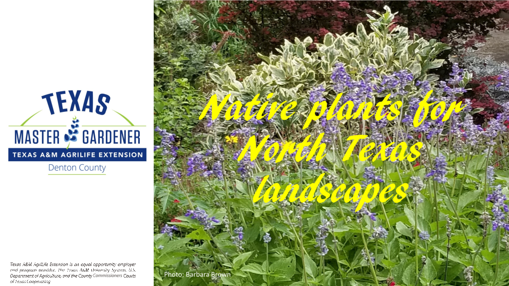 Native Plants for North Texas Landscapes