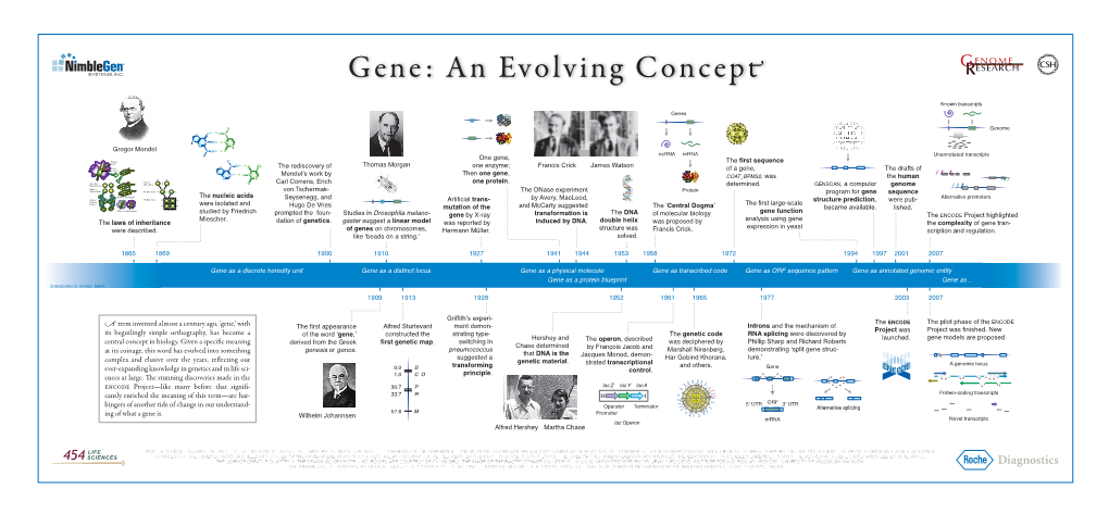 Gene: an Evolving Concep