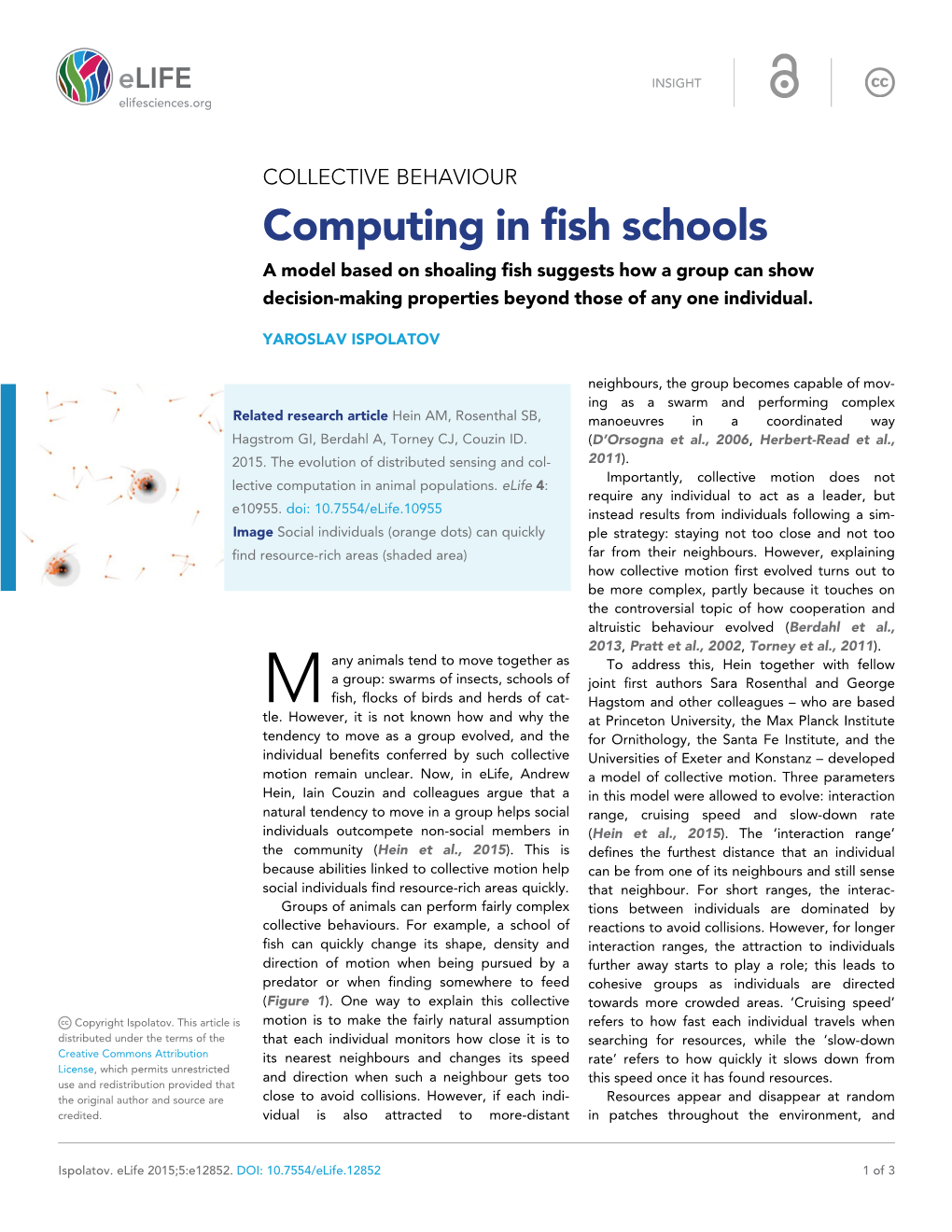 Computing in Fish Schools a Model Based on Shoaling Fish Suggests How a Group Can Show Decision-Making Properties Beyond Those of Any One Individual