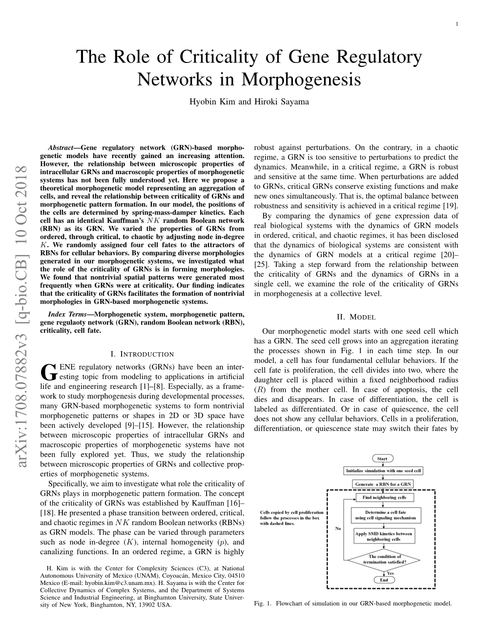 The Role of Criticality of Gene Regulatory Networks in Morphogenesis Hyobin Kim and Hiroki Sayama