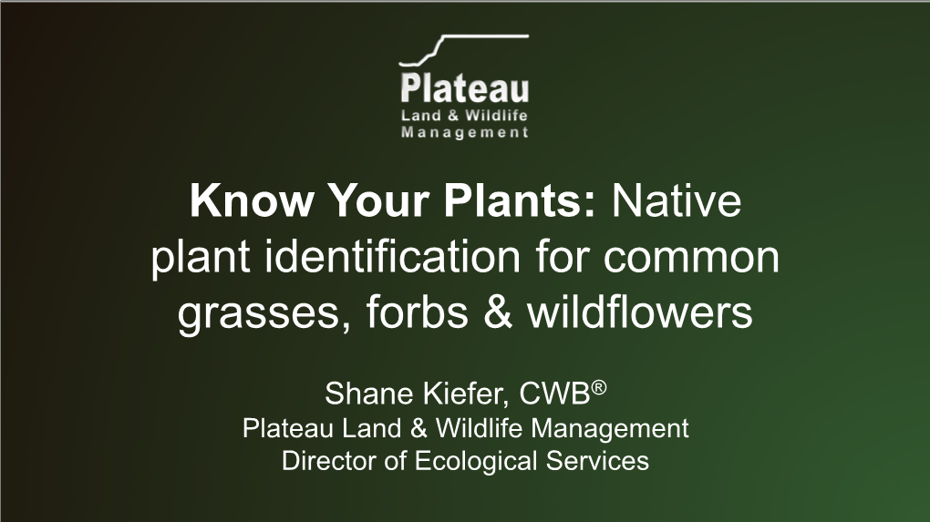 Native Plant Identification for Common Grasses, Forbs & Wildflowers