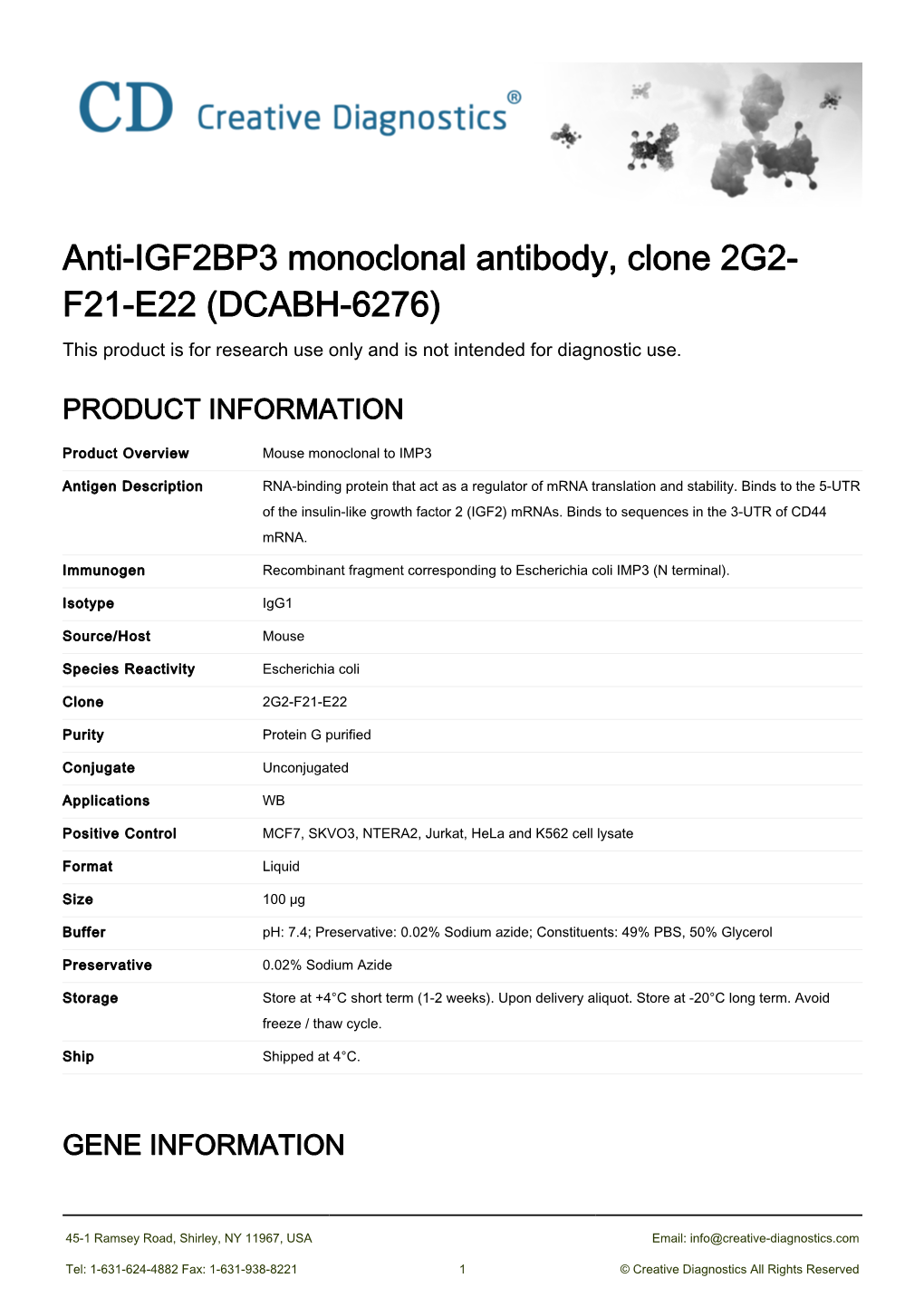 Anti-IGF2BP3 Monoclonal Antibody, Clone 2G2-F21-E22