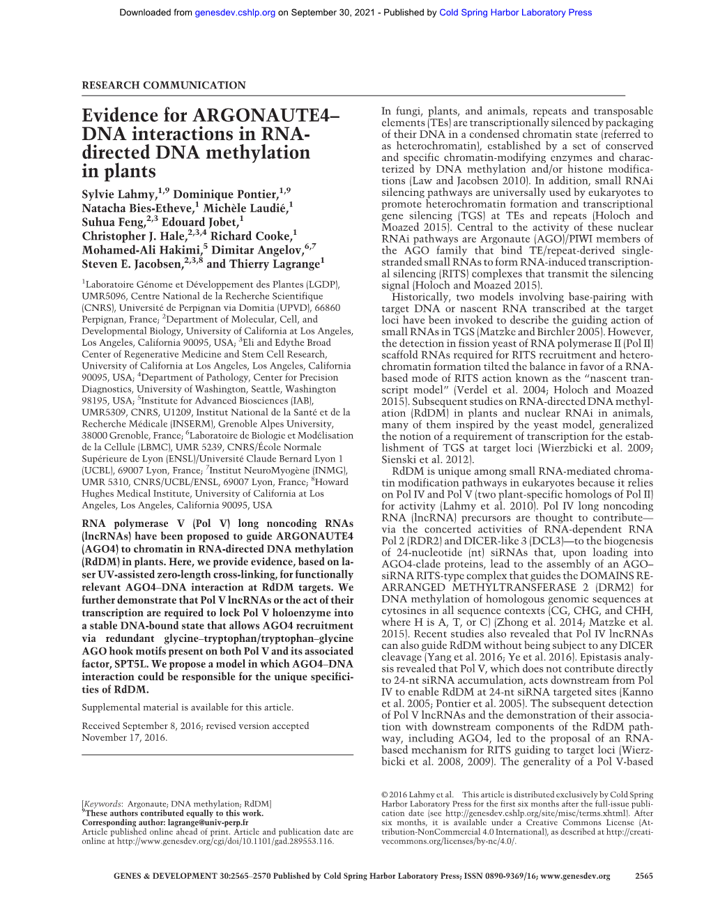 DNA Interactions in RNA- Directed DNA Methylation in Plants