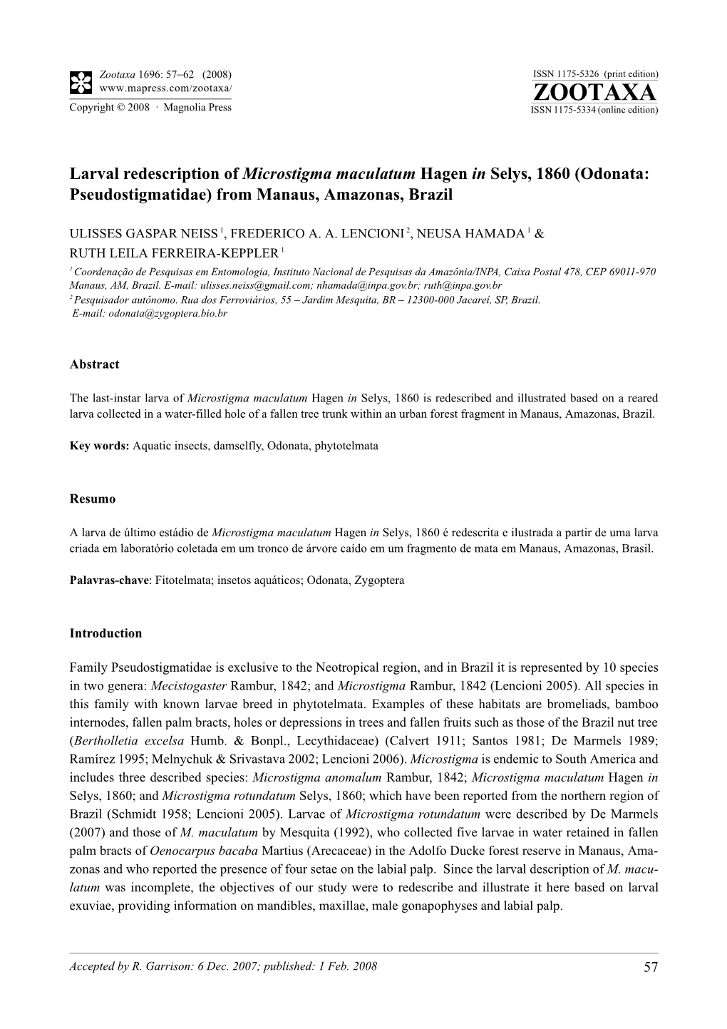 Zootaxa, Larval Redescription of Microstigma