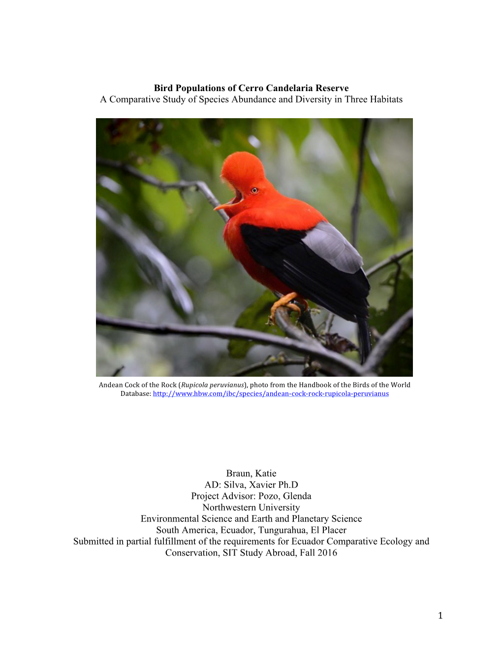 Bird Populations of Cerro Candelaria Reserve a Comparative Study of Species Abundance and Diversity in Three Habitats