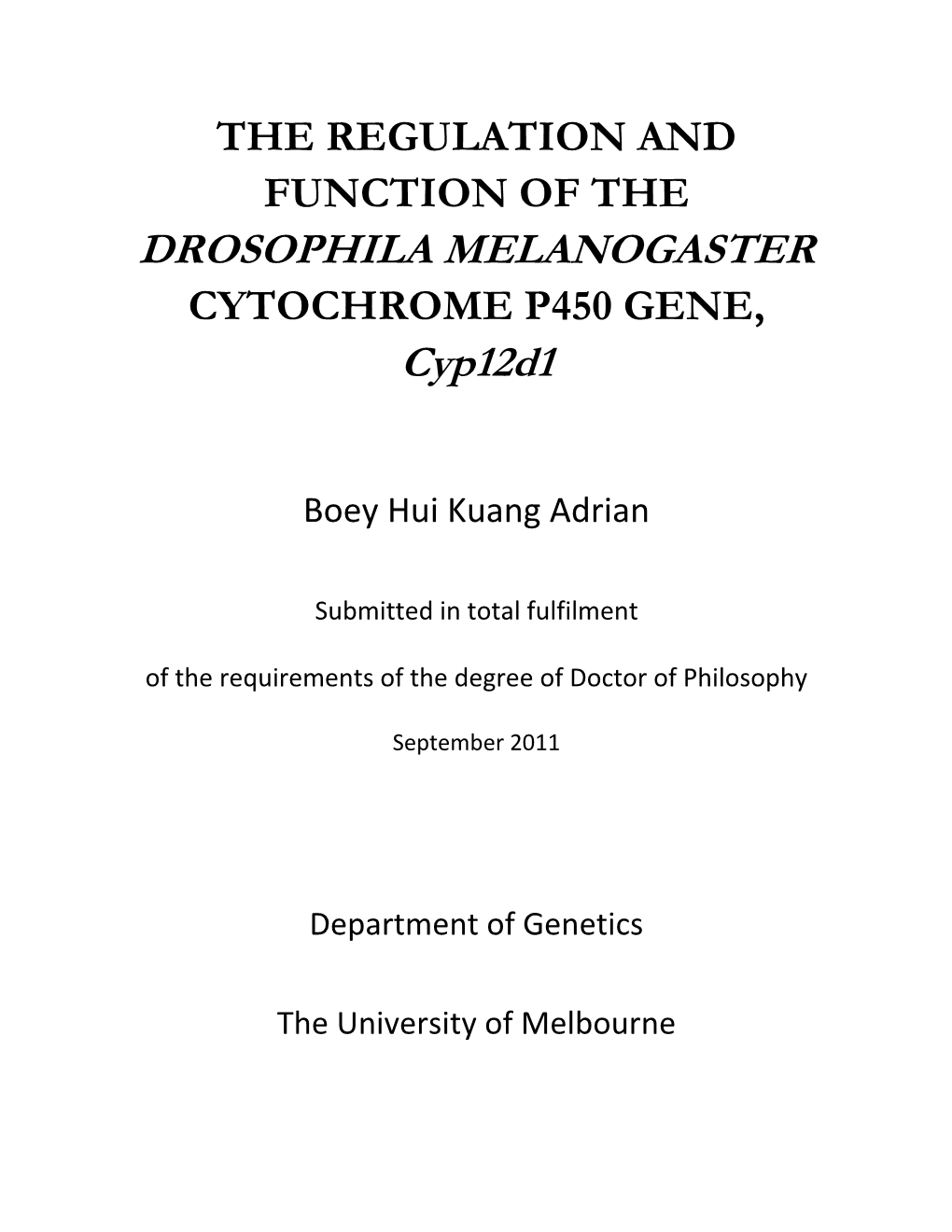 DROSOPHILA MELANOGASTER Cyp12d1