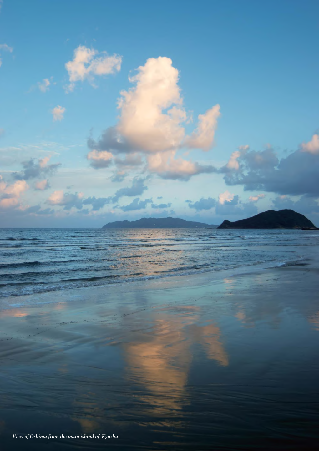 View of Oshima from the Main Island of Kyushu Chapter 6 Monitoring 6.A Key Indicators for Measuring the State of Conservation