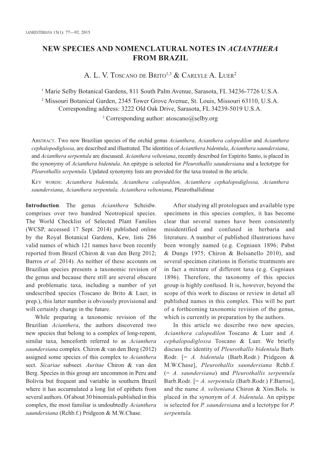 New Species and Nomenclatural Notes in Acianthera from Brazil