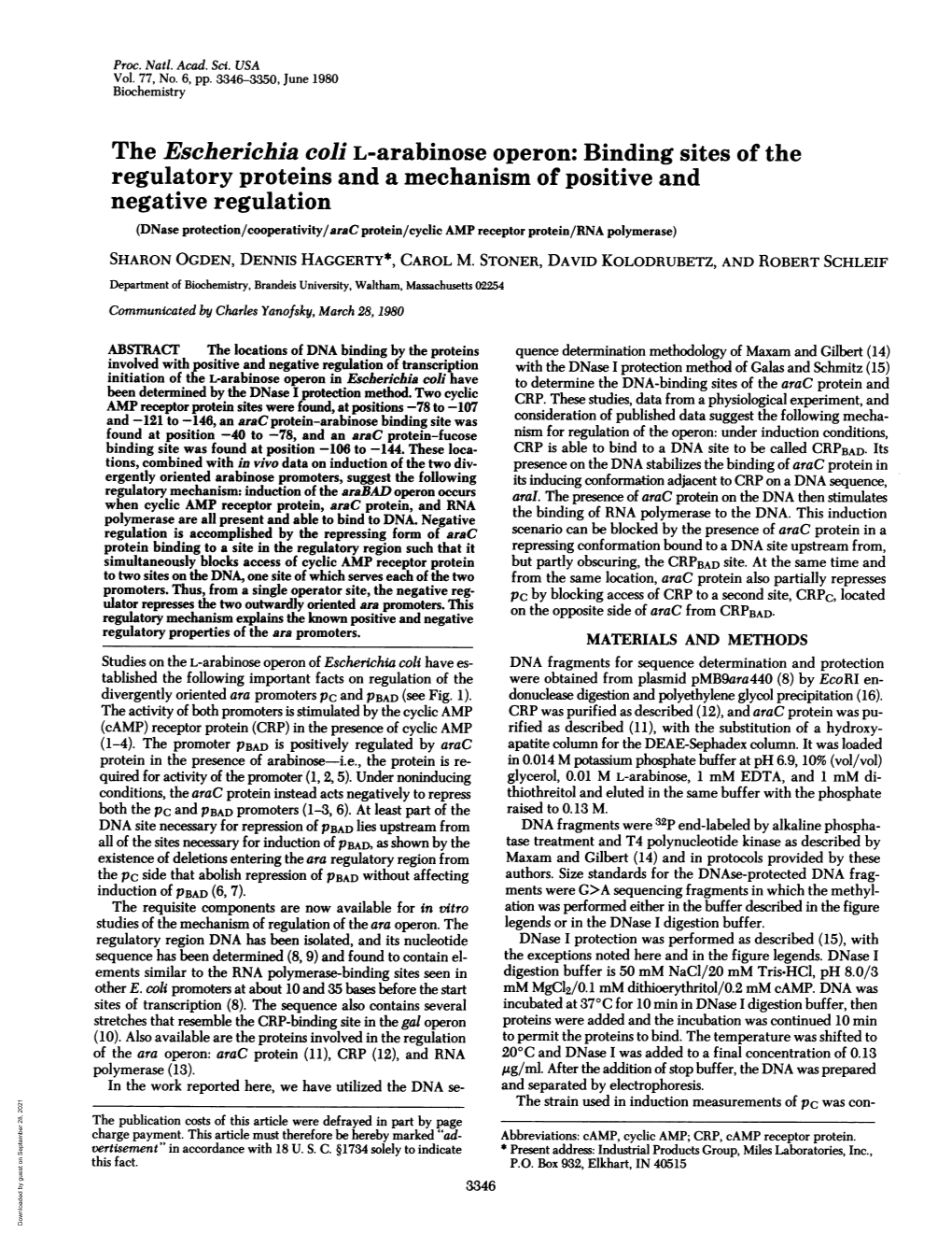 The Escherichia Coli L-Arabinose Operon