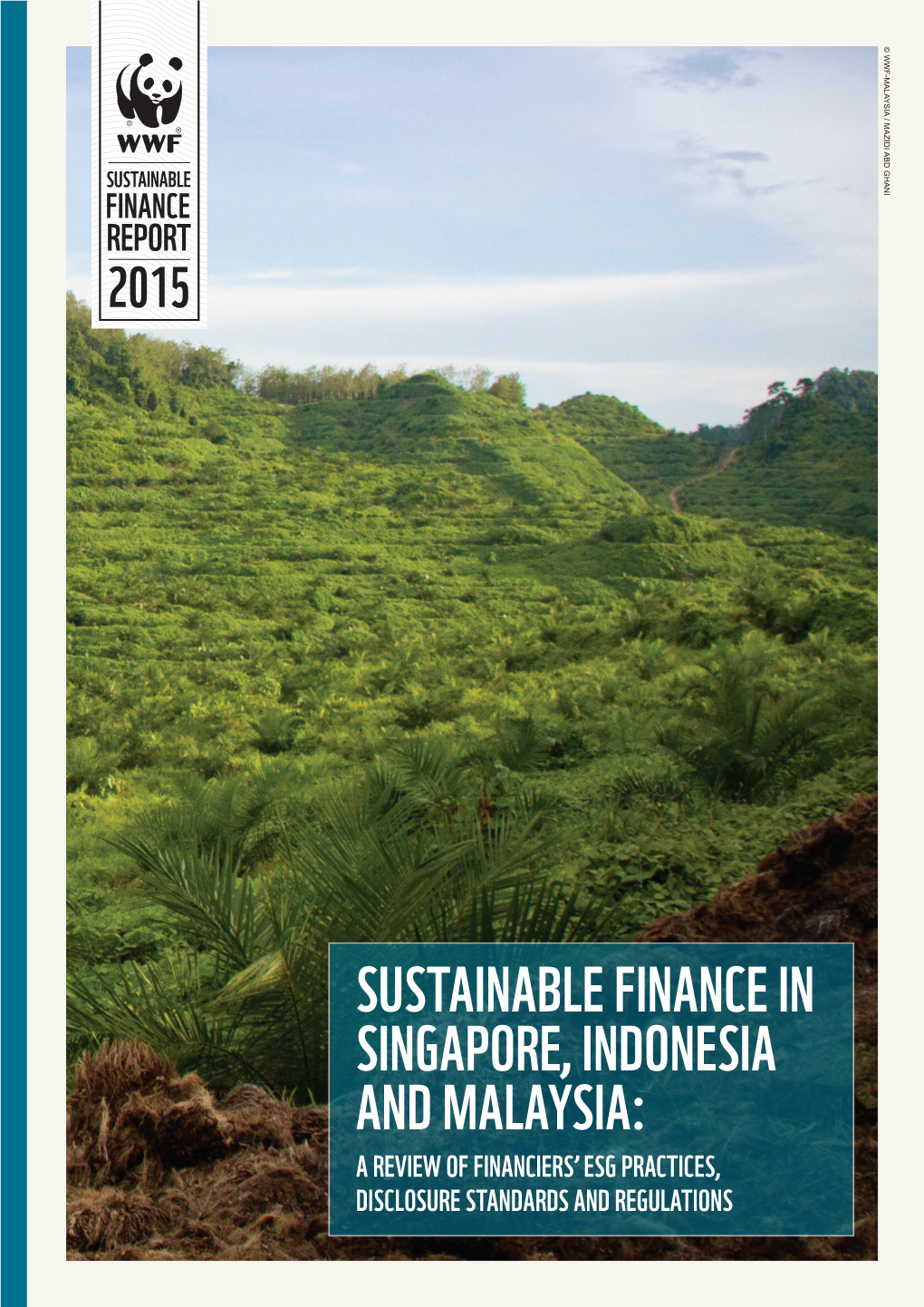 Sustainable Finance in Singapore, Indonesia and Malaysia: a Review of Financiers’ Esg Practices, Disclosure Standards and Regulations