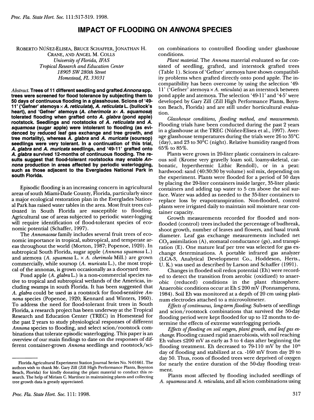 Impact of Flooding on Annona Species