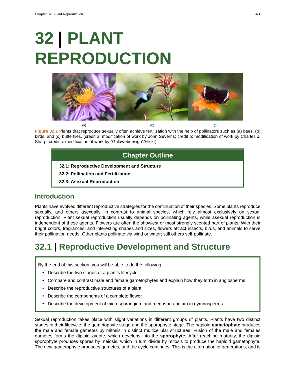 Plant Reproduction 971 32 | PLANT REPRODUCTION